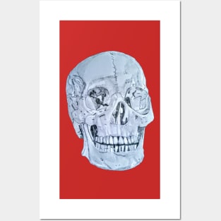 The realistic skull Posters and Art